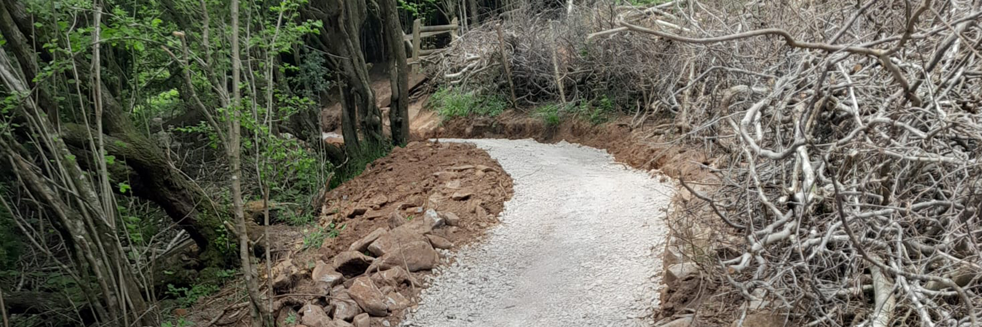 Batts Combe quarry donation improves visitor access at iconic Cheddar Gorge